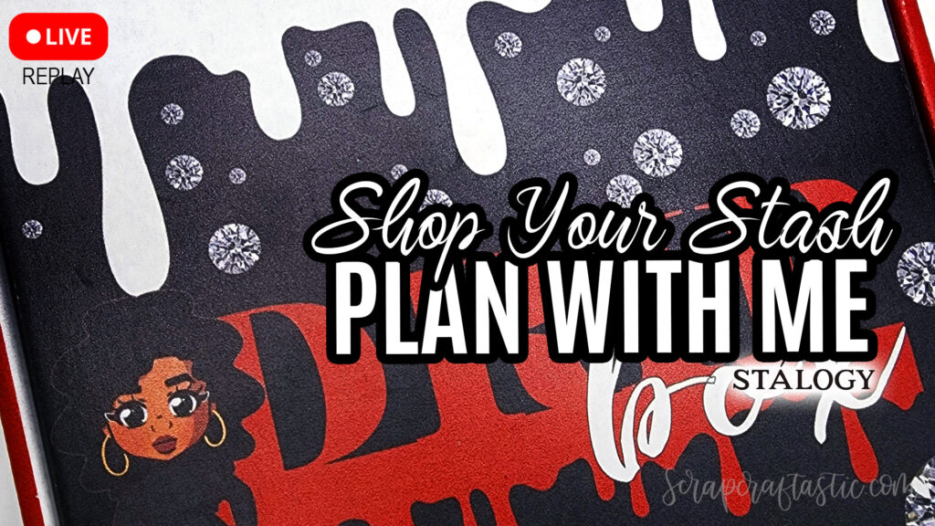 Shop Your Stash Plane With Me Stalogy