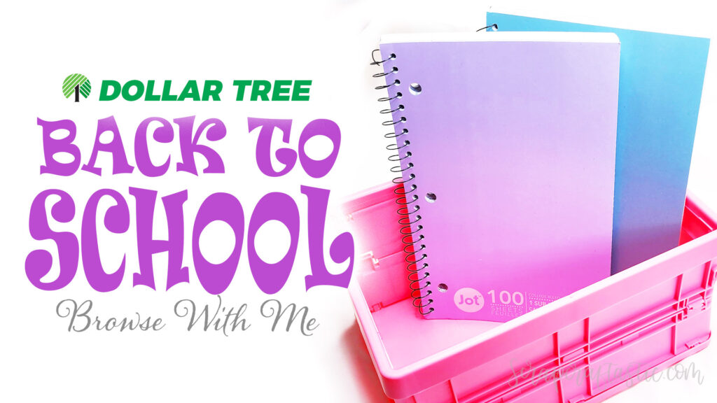 Dollar Tree Back To School Browse With Me