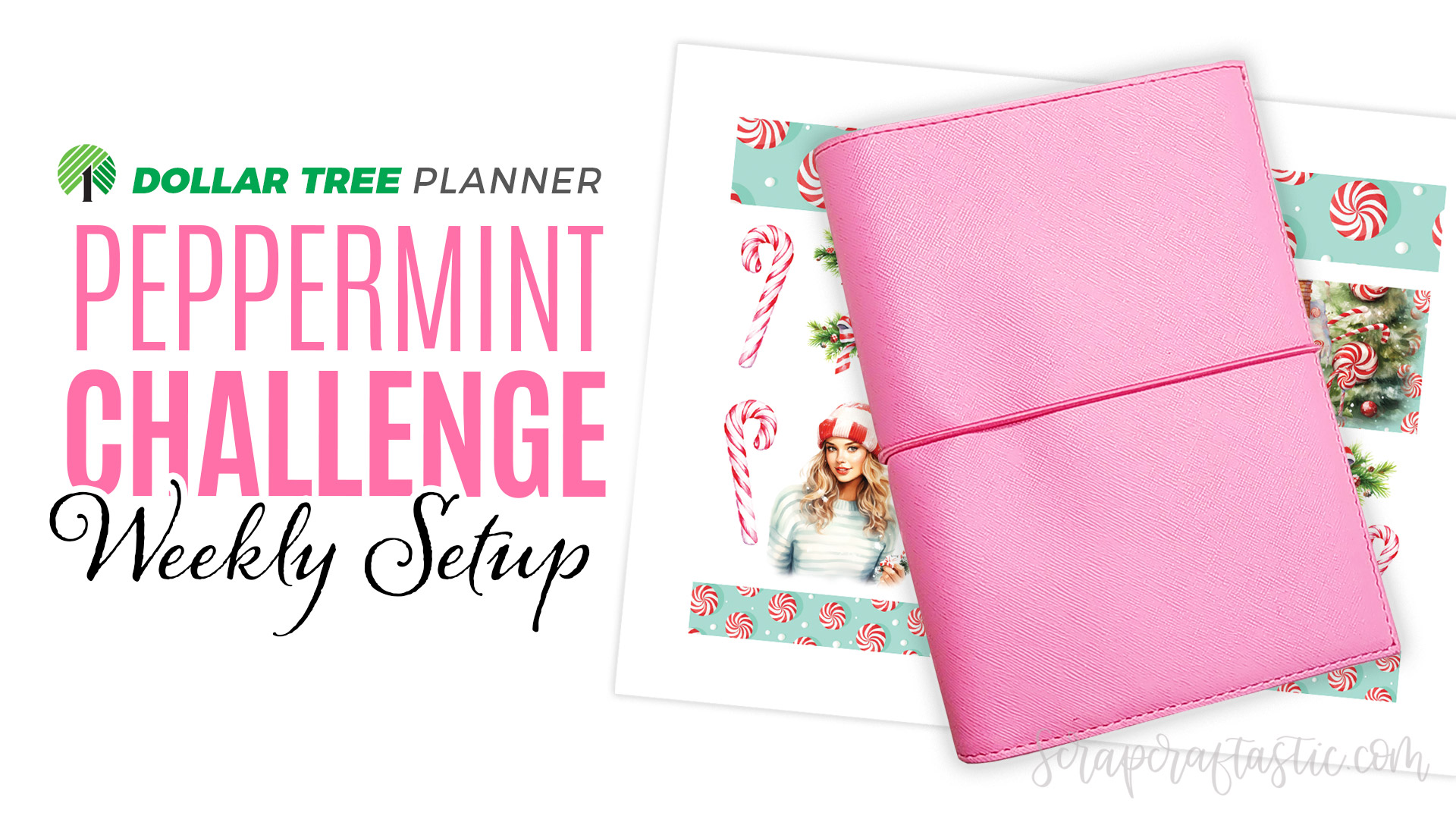 Dollar Tree Planner Peppermint