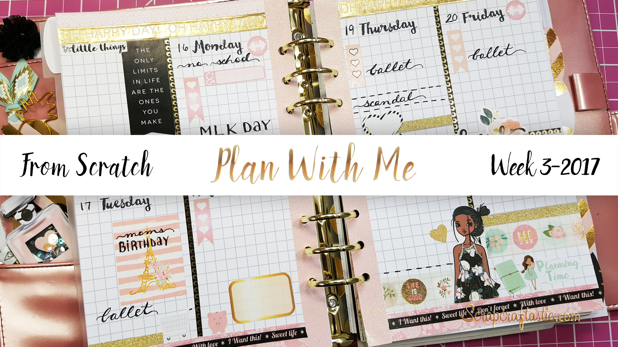 Plan With Me Week 3 2017