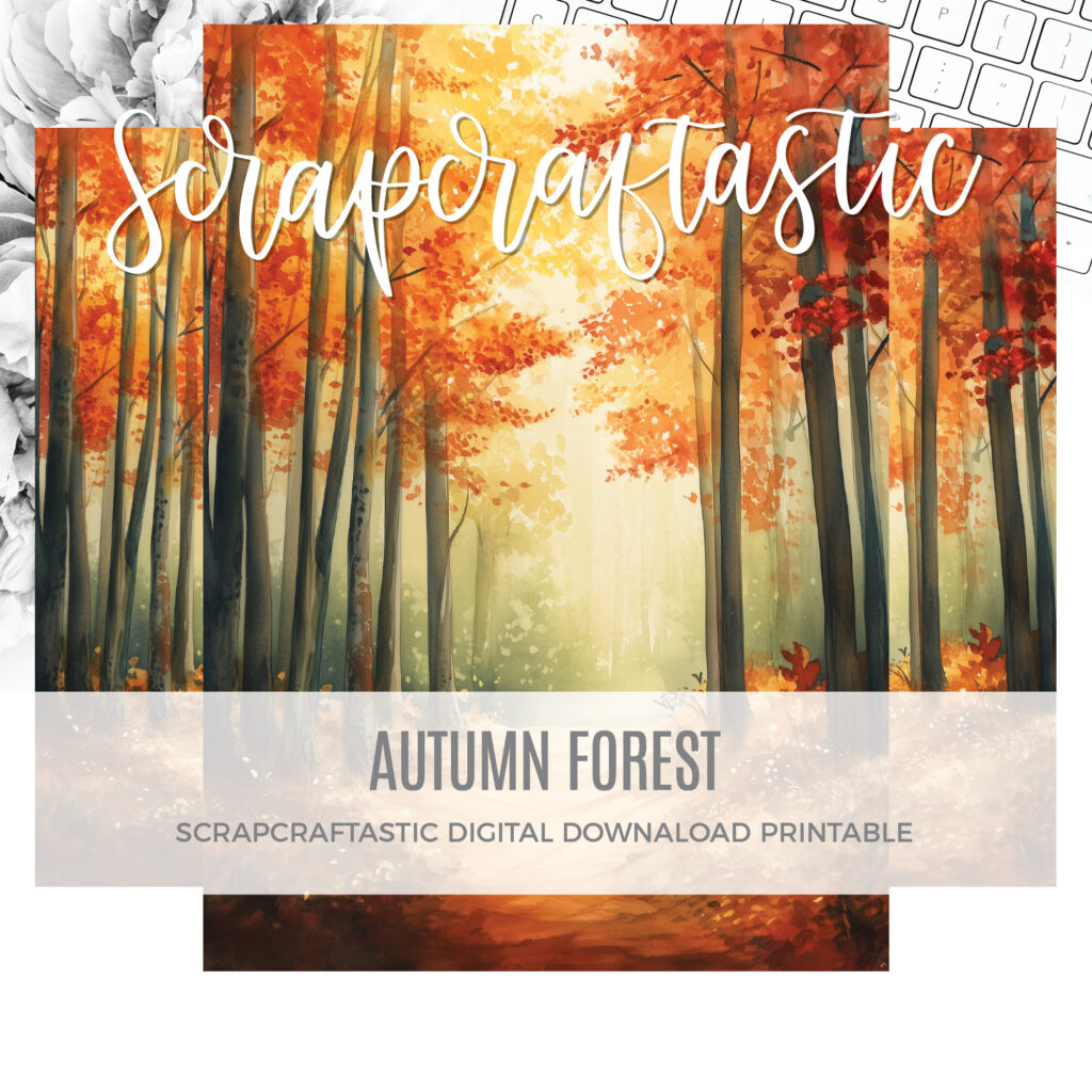 Autumn Forest Dashboard Freebie