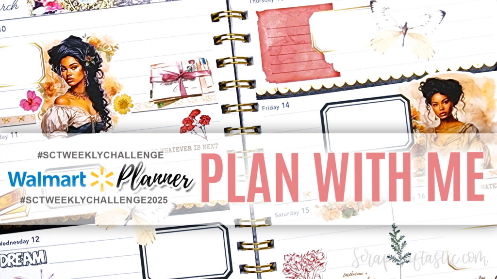 Walmart Planners Plan With Me